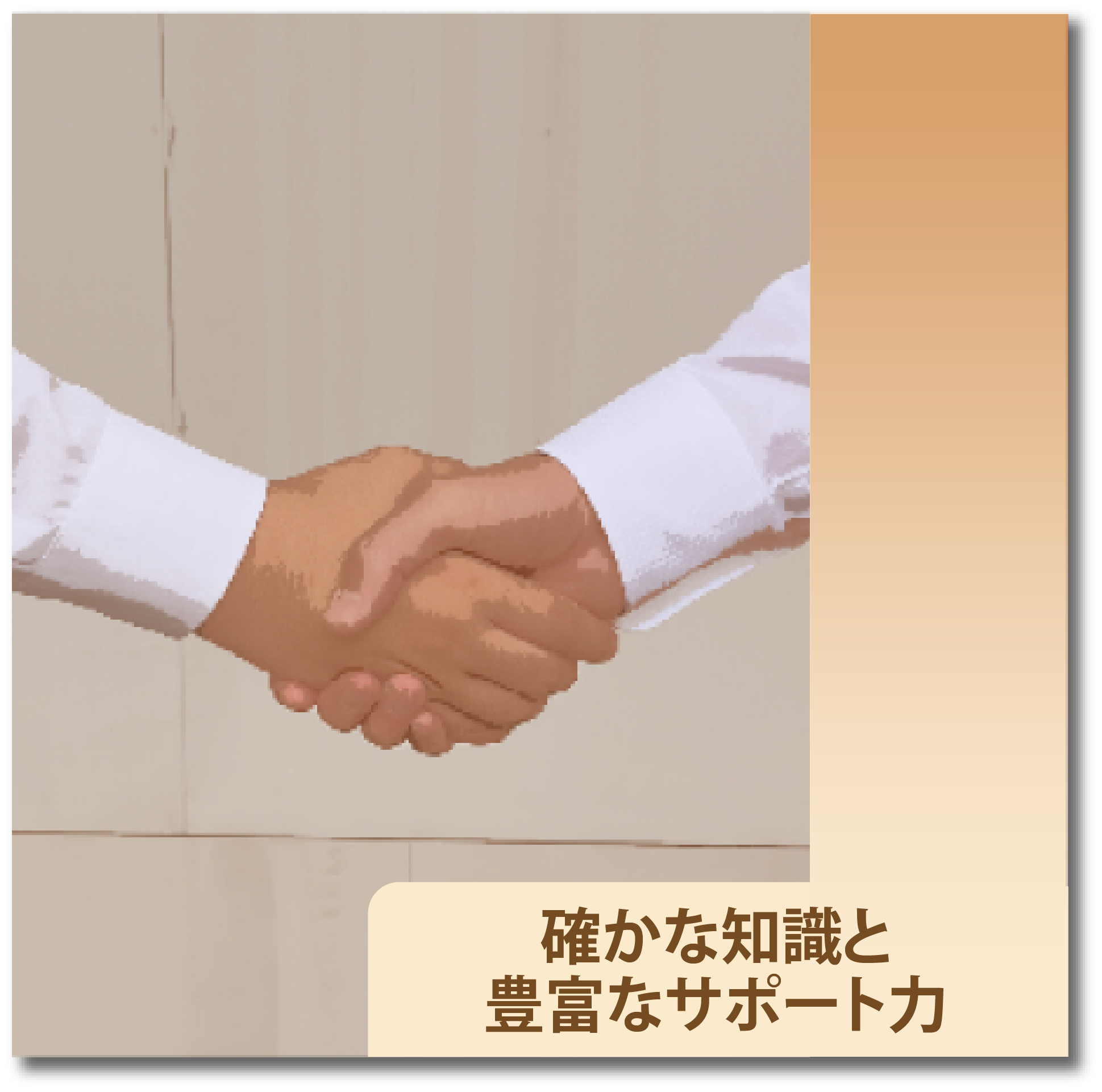 確かな知識と豊富なサポート力
